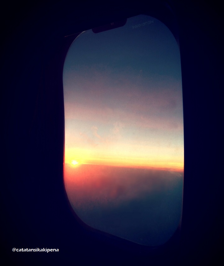 window-flight-2